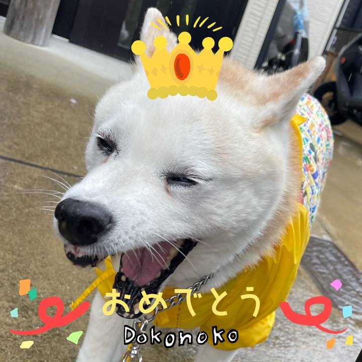 3915d0ae 5ab0 4e97 a1f6 a5e389f453ca 1685972534254