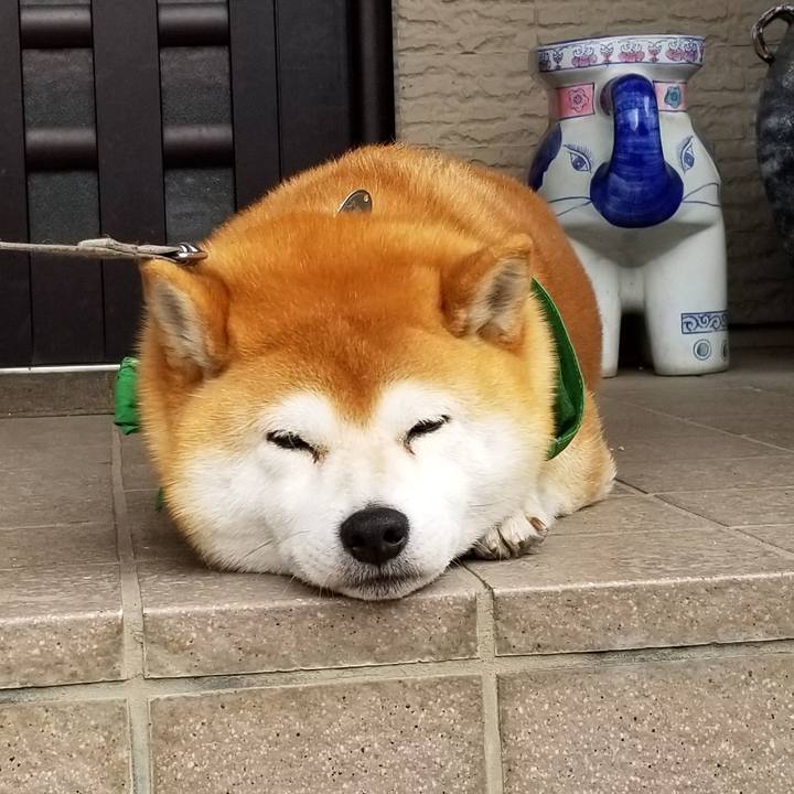 3915e257 d713 431f b1af 3e527b506566 1556251617394