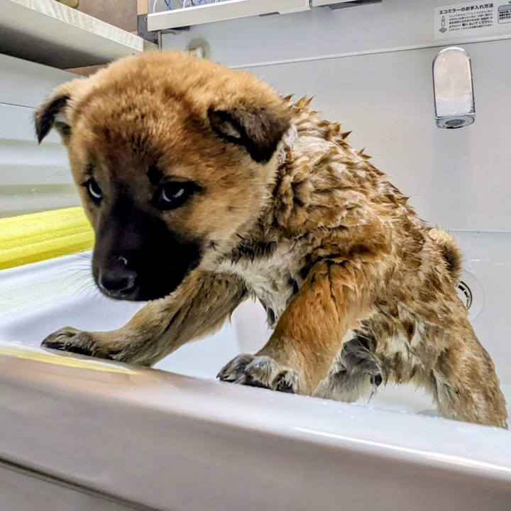 3915e2e4 0388 4298 a392 2cad4708c59a 1773486716978