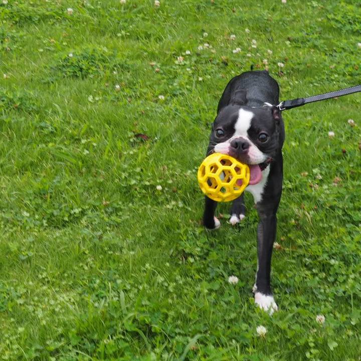 3916893a 8b45 44e9 ab3d b98ad5cc992a 1563147958996