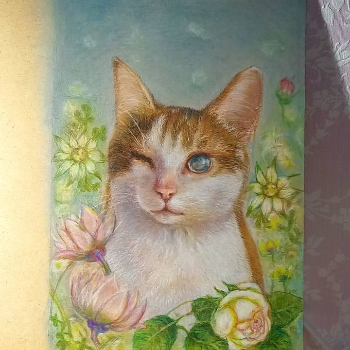 3916a4fd 99a2 49a9 b998 eb2289cca4eb 1635684953276