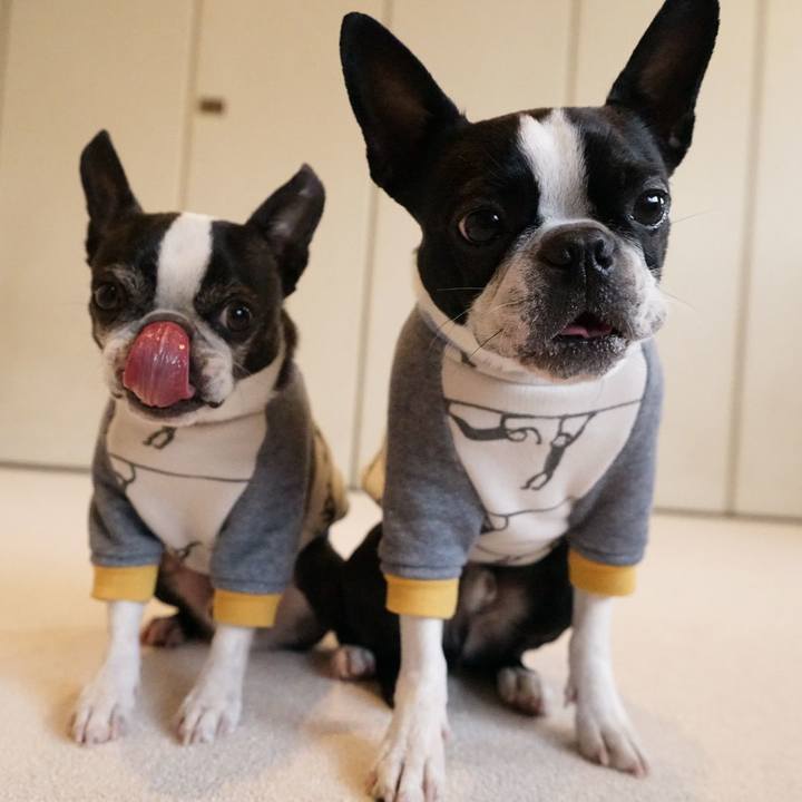 3916b49c 0d7a 46b9 ae23 61b030edc4dc 1519861326708