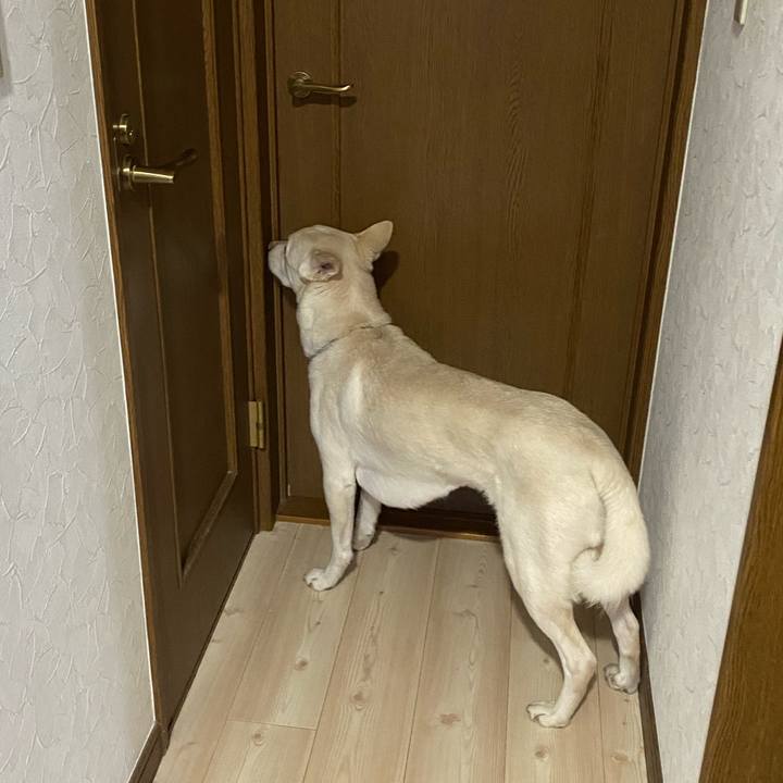 391707d1 87ea 4c74 ba48 339007c97607 1771426057244