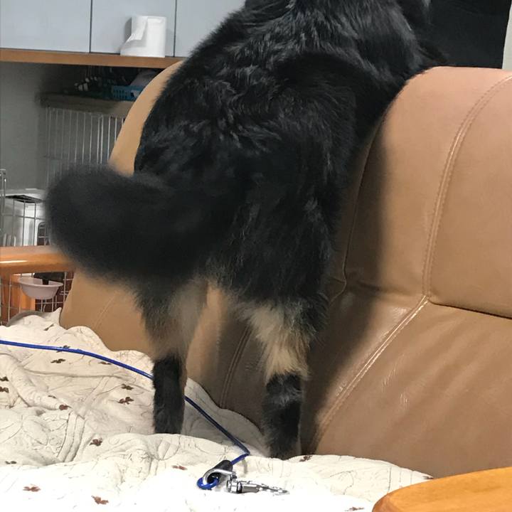 3917310e f066 4e8d 9f19 85ce2b314e90 1526086324457