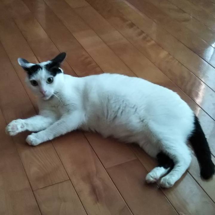 3917395e 05e2 4d91 99e3 37a6fcc19d34 1531659971318