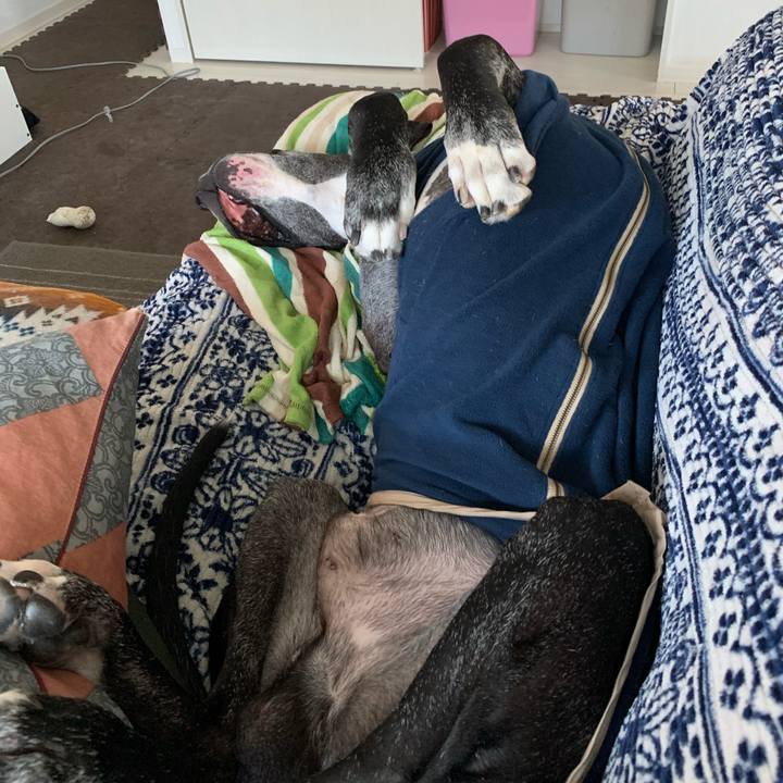 39173b36 0f18 46c3 9031 c1a5bfc486ed 1578205134509