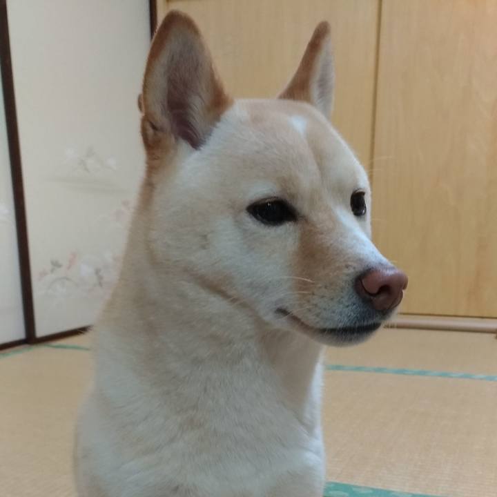 39175c4a 588d 4a48 8eff c4eb0a9e6a52 1550831579980