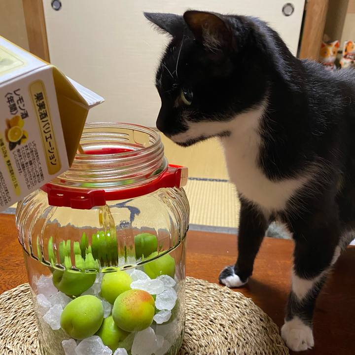 39177e6d 5d1c 44a2 8244 a754dadfa53f 1655083240910