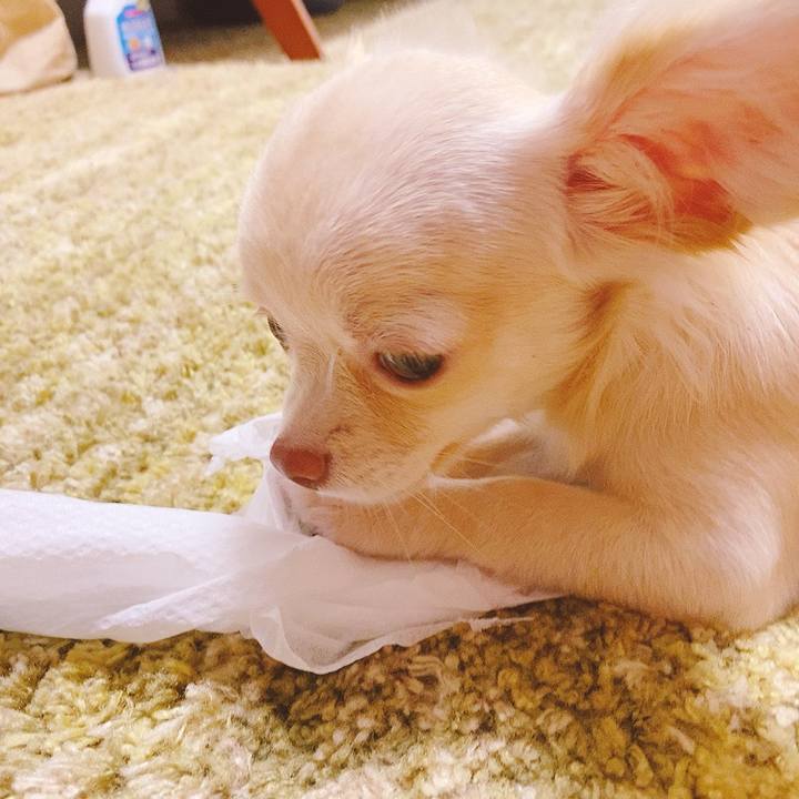 3917888b 9dac 4808 b441 596e8c27b030 1595767067339