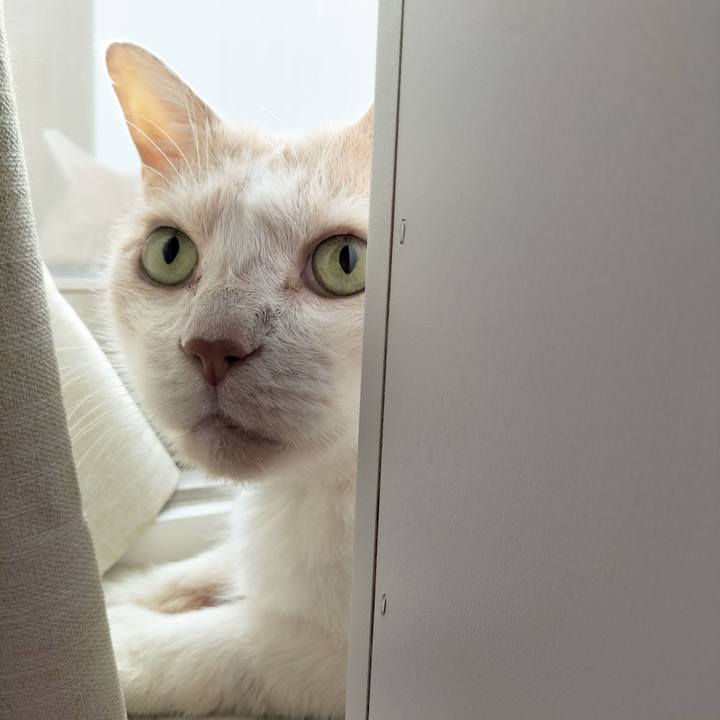 3917a0f3 6af3 4278 af56 38c0227f18a3 1693868300158