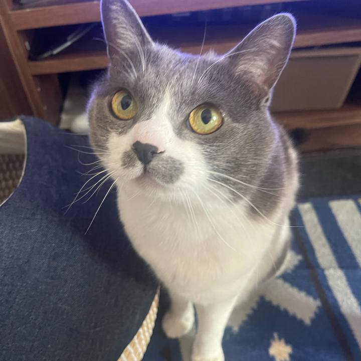 3917a38c 6b7d 40ce b572 c4e6ce56060e 1681171597945