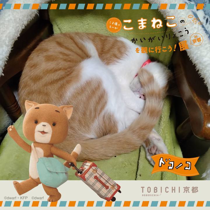 3917b66a dbbd 437b 9c54 2677d87031c9 1740217455581