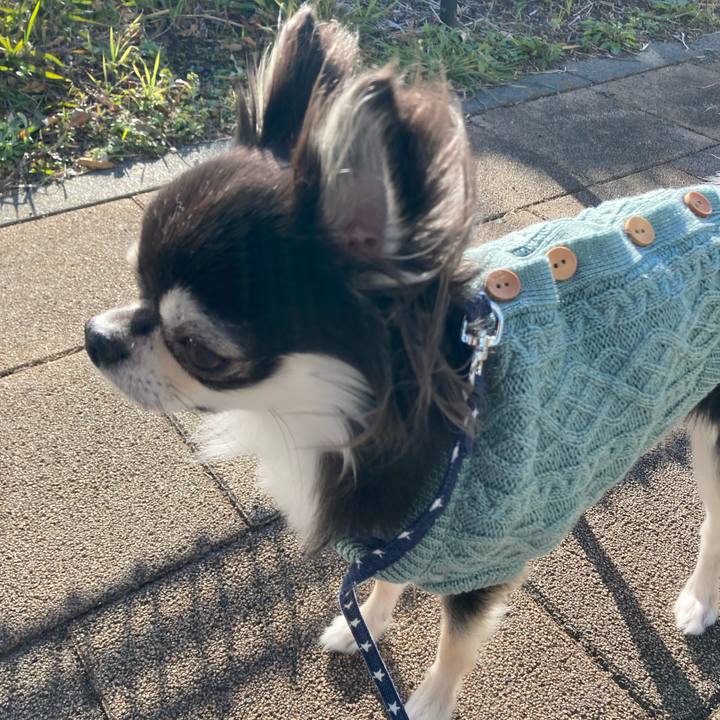 3917c4b7 f7a4 4a46 bfad e1f1372bda53 1640503266202