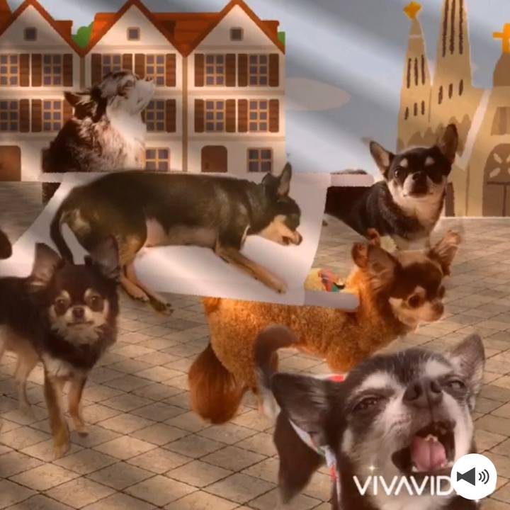 3917ec55 ad18 40ca aef9 72fb4bd8c342 1598177275097