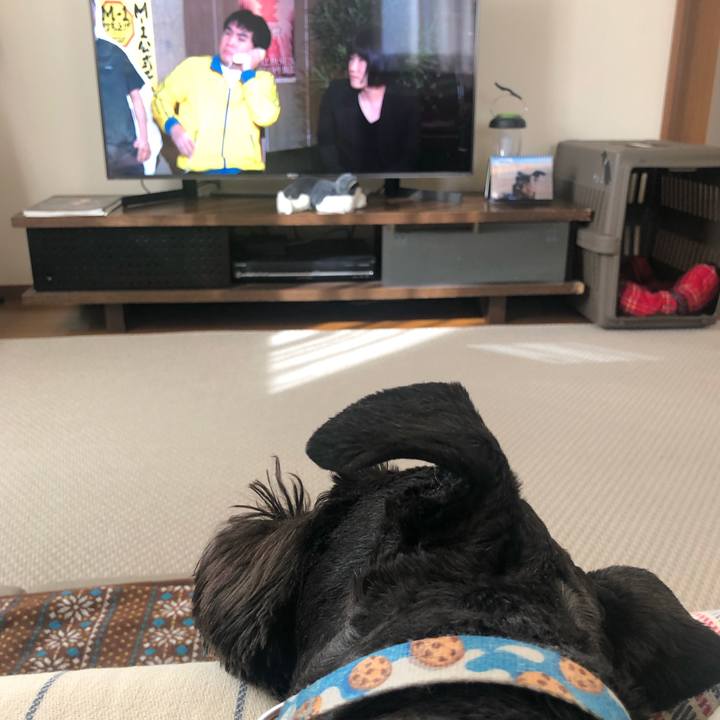 39182b35 22a2 4da7 b8d4 3ed1566fd7a3 1640136488761