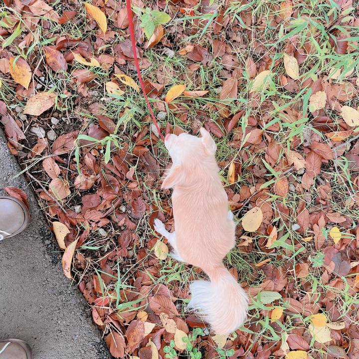 391853ad 3afd 469a 9e2e f70c5d958969 1665302852464