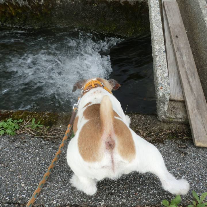 391856ca 62eb 439f 8f3c 432076ebc807 1563792461497