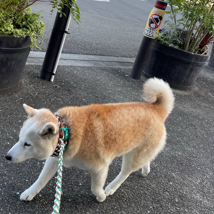 39186ed1 7c44 4d46 843a 9939e8d443e2 1649458068178