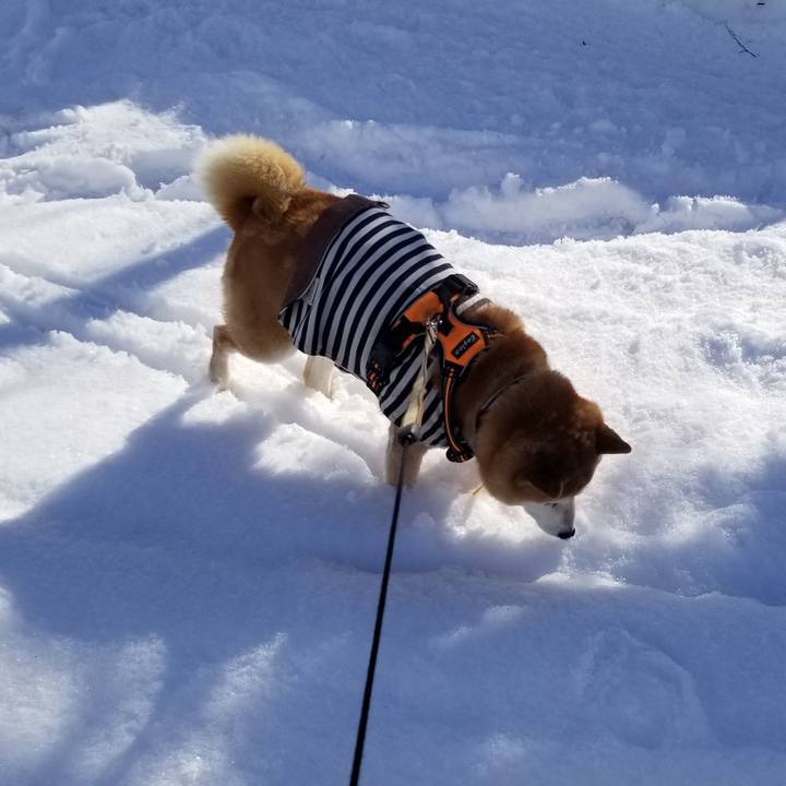 39186fbd 6a8b 4db4 bcb4 a59c5ef4551e 1643431715826