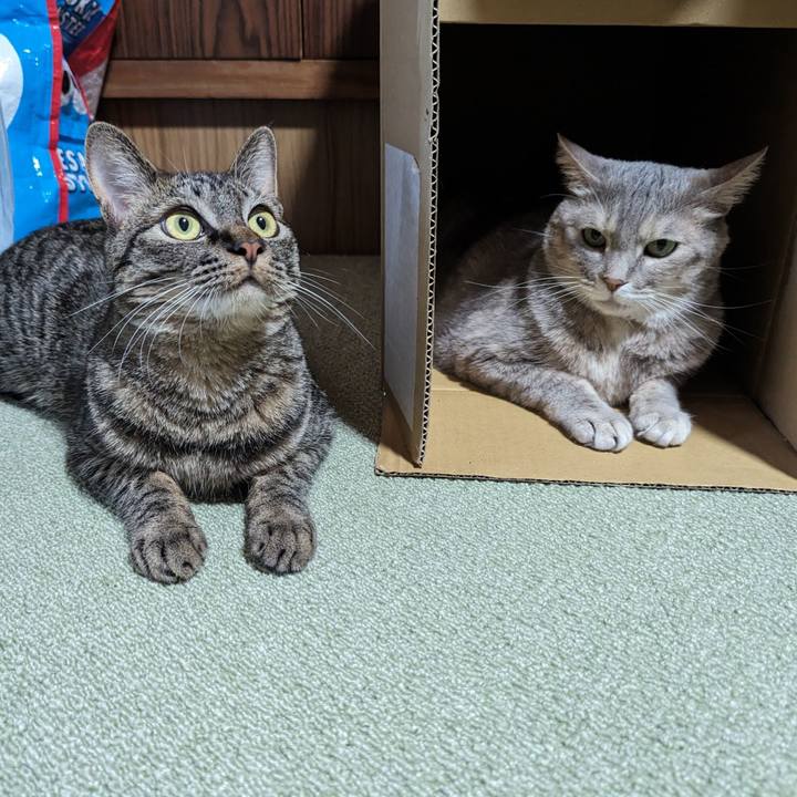 3918fae3 823d 498b 8141 da857c4e3520 1718263814876