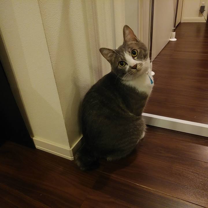 39192bad 5af9 493a 9955 252f0c19eab4 1590063600952