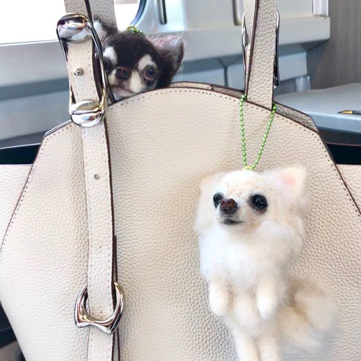 39192bd8 6170 4df7 9e72 e70d13a9b25e 1555725201653