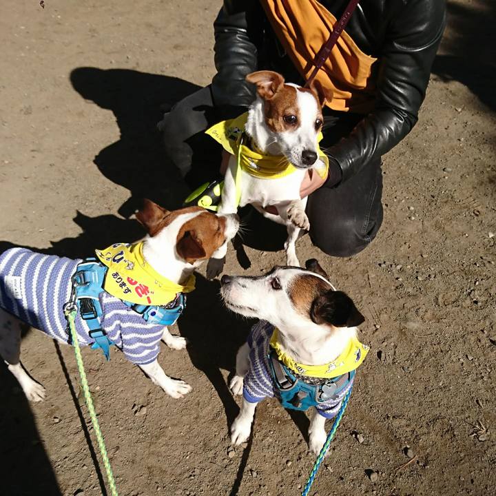 39193a38 08e7 4bef 99d1 e9240f958109 1606543446252