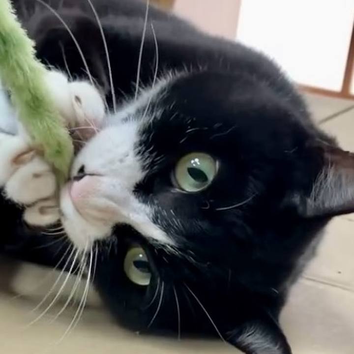 39194d91 28c4 428a 9a03 27741ba37710 1728185915970