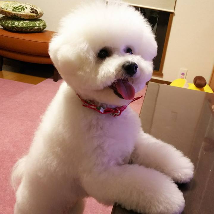 39194e36 94df 42de 8714 00ee75ad2f1d 1510460811737