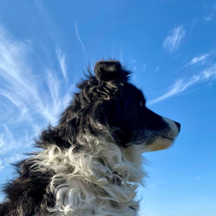 391996fc 88da 41a8 9dab 9b647c4f4ed7 1641022436094