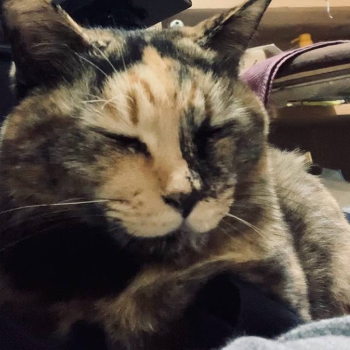 3919a730 8159 4af7 8937 97a583981a80 1736128077622