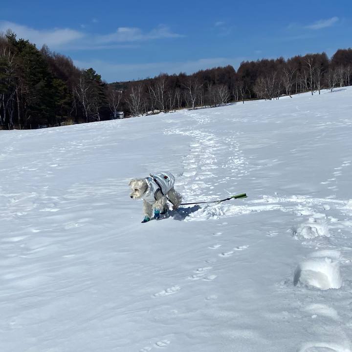 3919bf26 d10f 4a5b 9824 a9f750caaa74 1771813145903