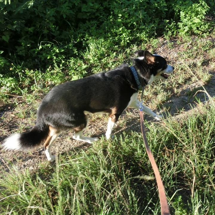 391a112a 39b9 445f b180 ea50b39ce5e5 1661264131446