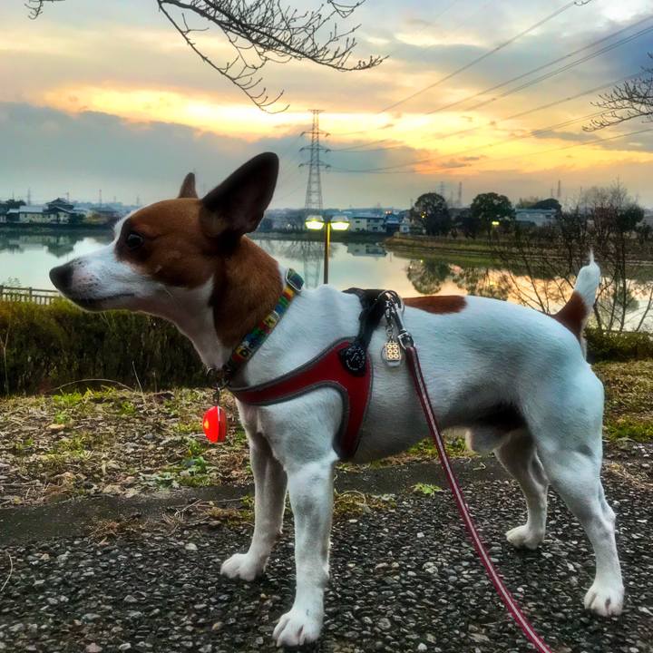 391a391c d4de 4daf 83de 1fbbcc1610cb 1512729035765