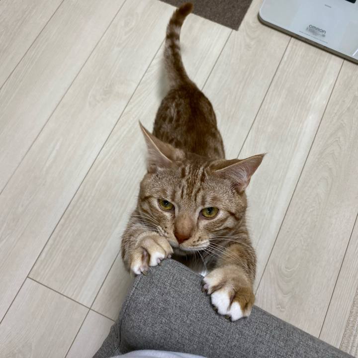 391a4db5 bac0 4e34 8ba7 76ce769a1897 1624661063440