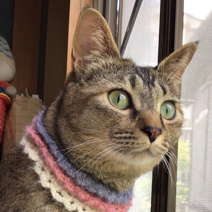 391a5694 4555 40a1 bfcd 3795a717dcab 1621053455108