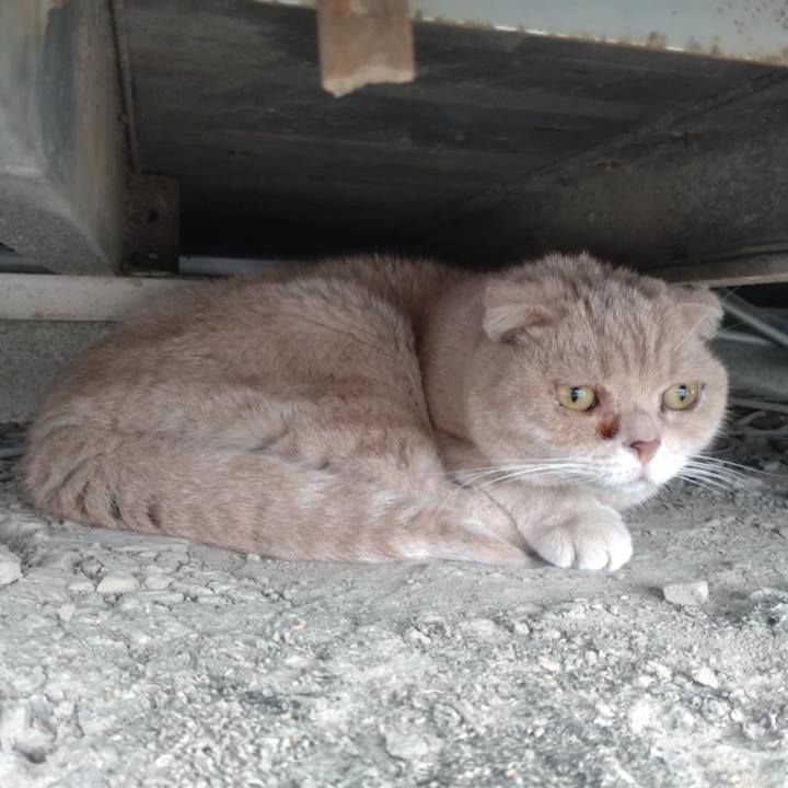 391a611e 6572 4fa1 b3e0 d846af4a8880 1760399680629