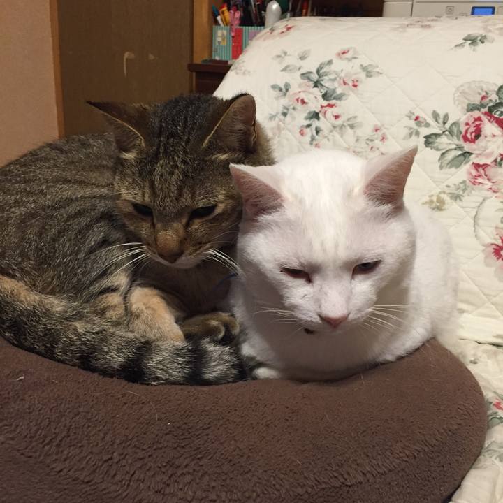 391a7a6b 9395 4431 ab07 b0b608f9e0f3 1574523310260