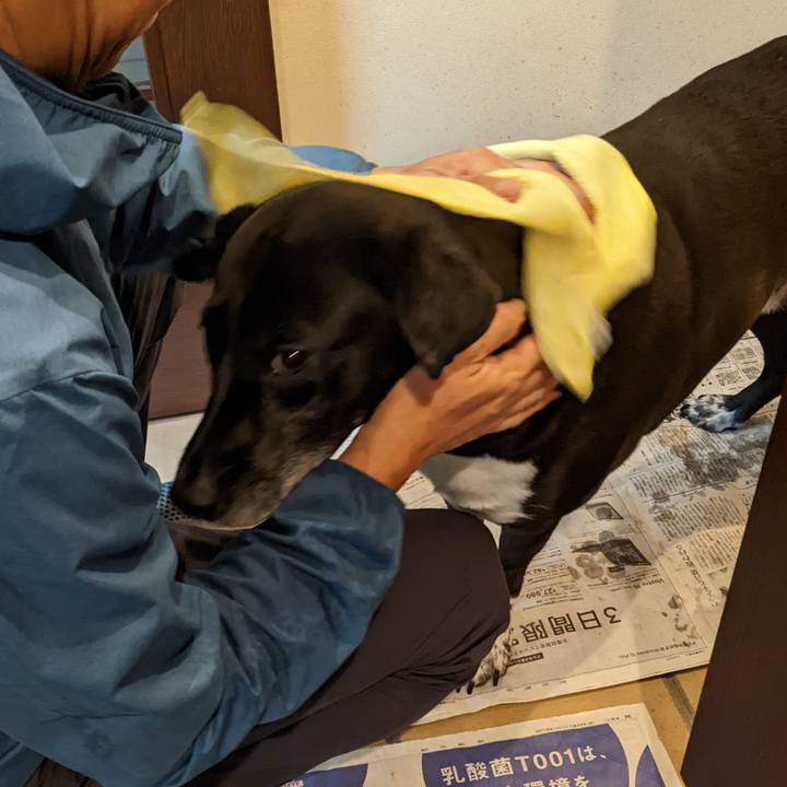 391a8850 93ff 4ffe bc59 c52f26d4b10b 1696809149344