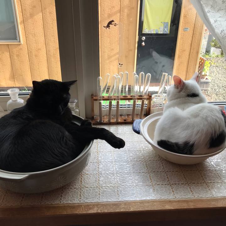 391b0bfc 9b43 4661 927c 014aea6565f9 1632909569147