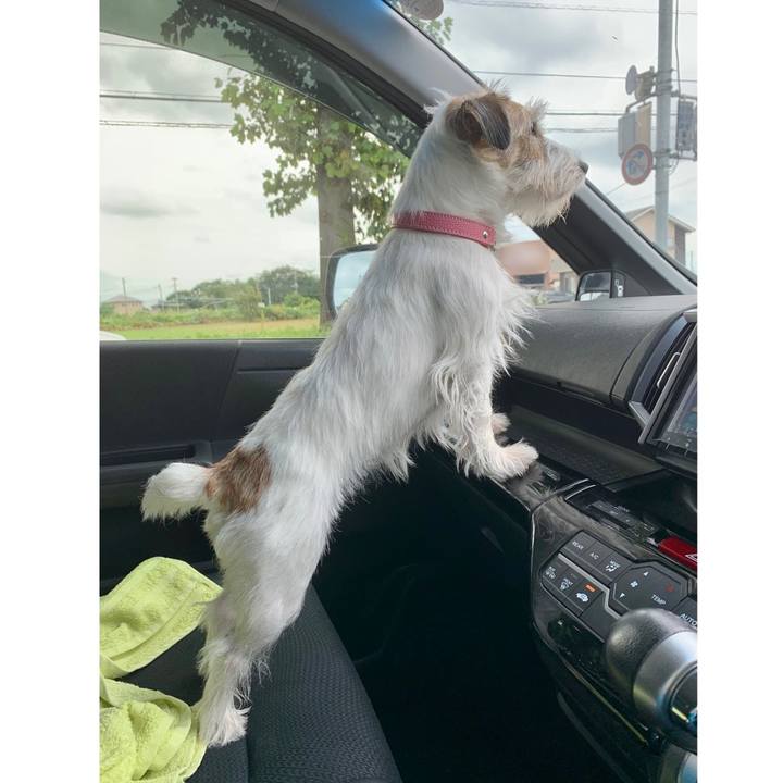 391b3f4c 744e 4c95 bdbe 236a9d8b7cbe 1628748064183