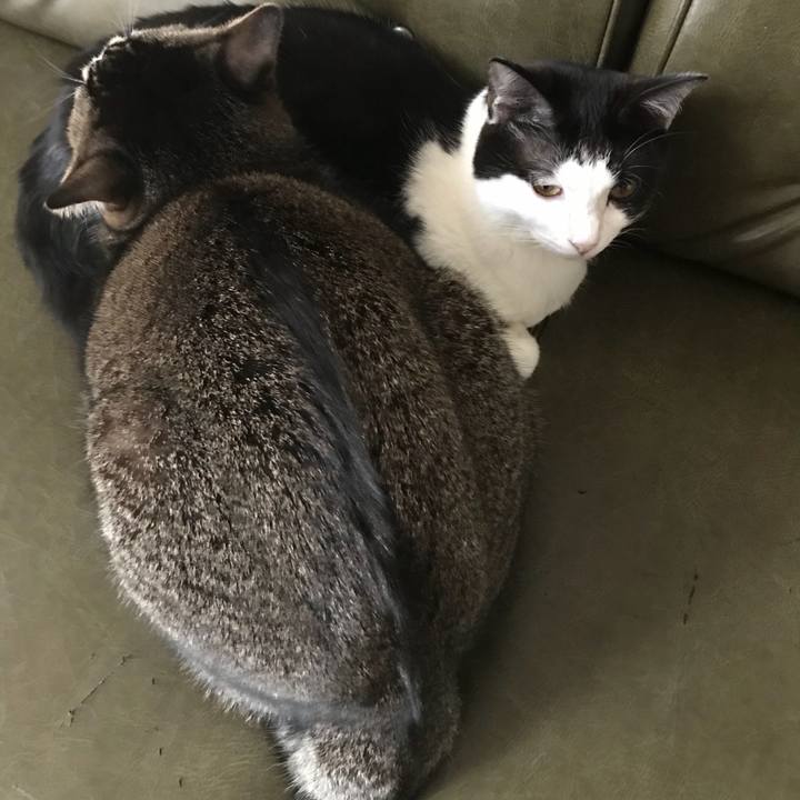 391b828b e171 4038 ad71 f2e9e4c10698 1510208572049