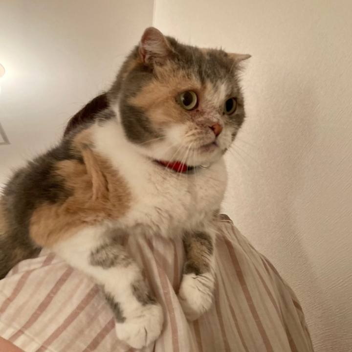 391b89f7 a0cf 45f3 b20a 131c6d501ae6 1661937952511