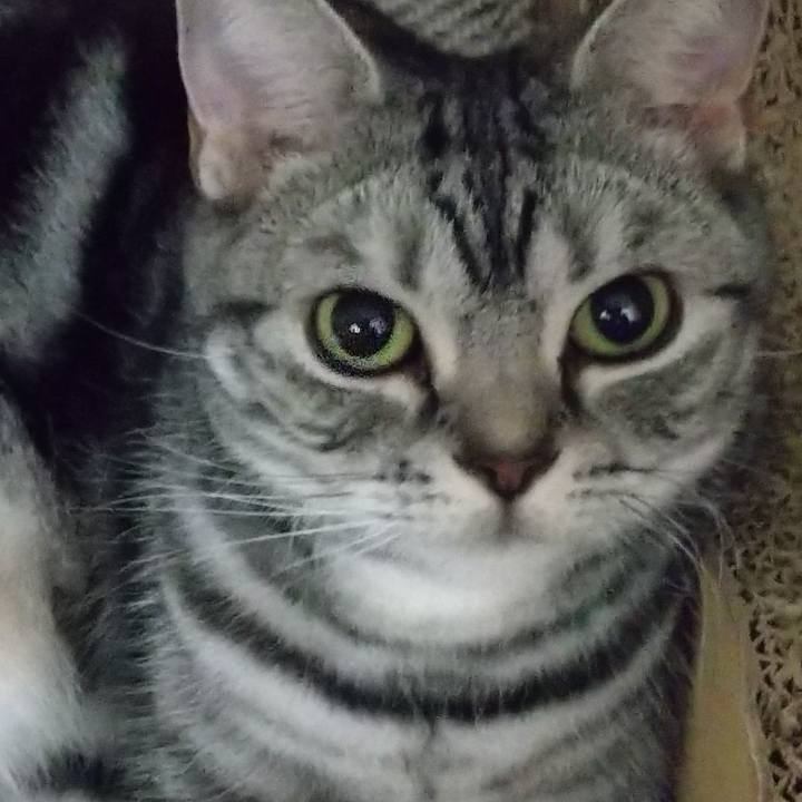 391b9b1e 0725 40ae bc76 053345f22c8e 1646450663965