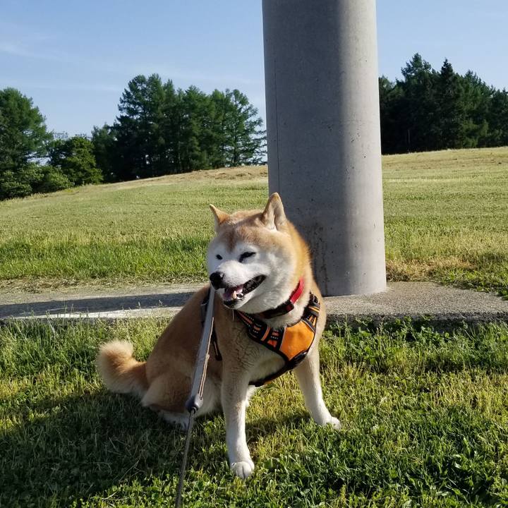 391ba087 b577 45d4 9922 21cbf9e56e41 1715325078338