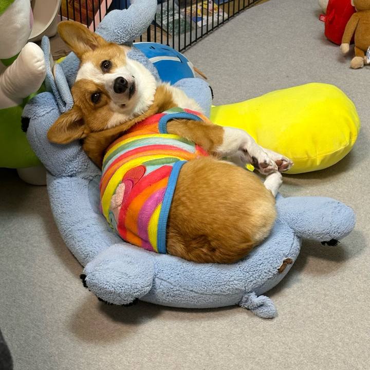 391bbcb9 ac4a 43fe 8dbd c2685361dbed 1773496751741