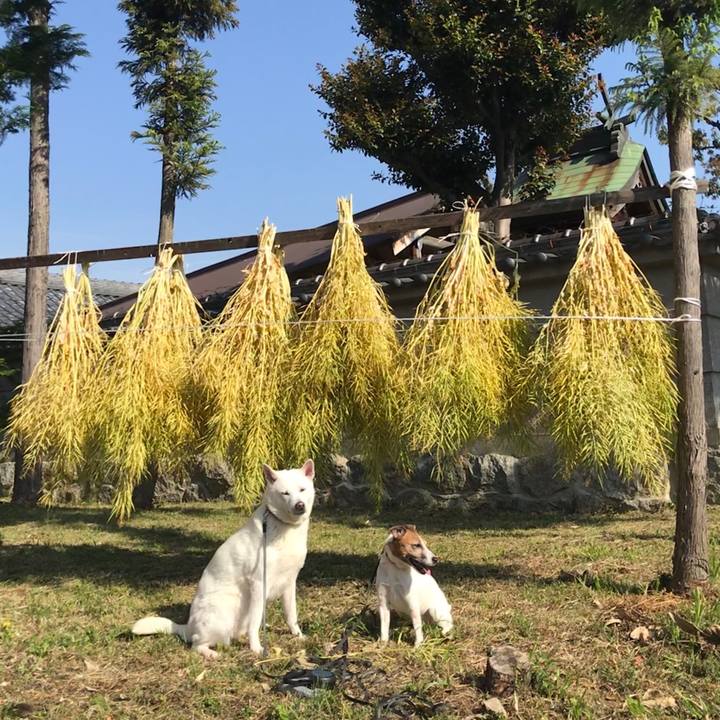 391bce9e 94e0 472f b504 de4390d87ad9 1524361814836