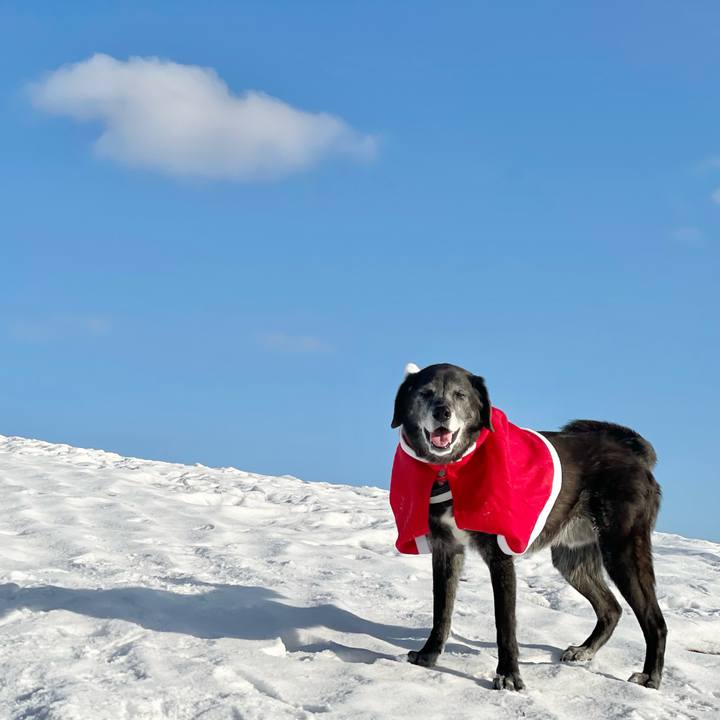 391bd7f8 ffce 443c a510 1bd61d6ab0ad 1766485719350