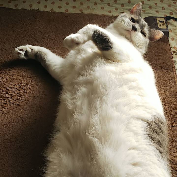 391c0e99 9b0f 48ef b00d ab6e07d8c565 1583424342562