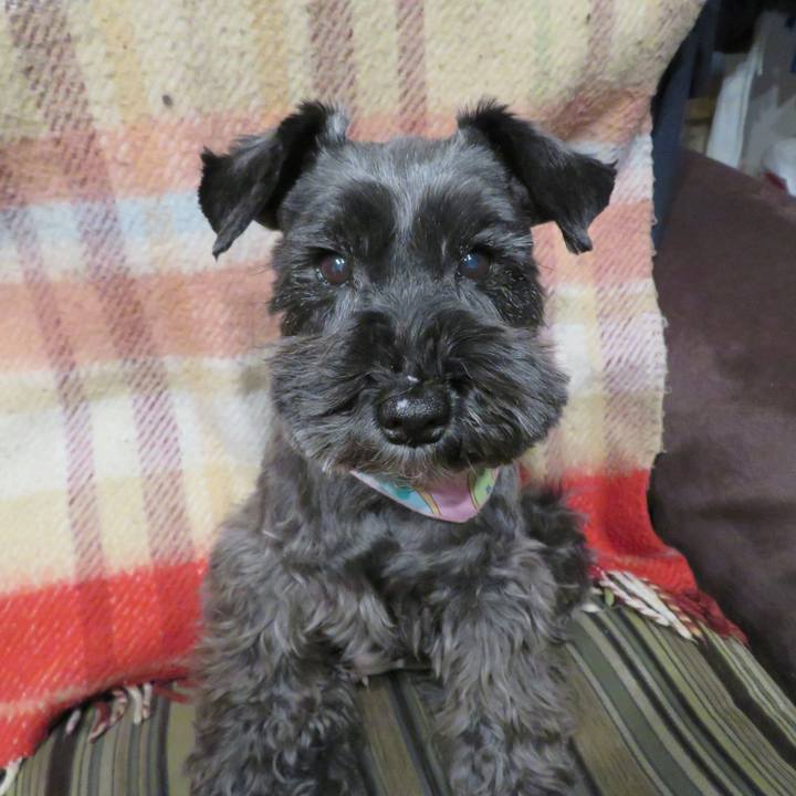 391c2676 fdc8 48e0 b3a2 2848df4ccd47 1612769975832